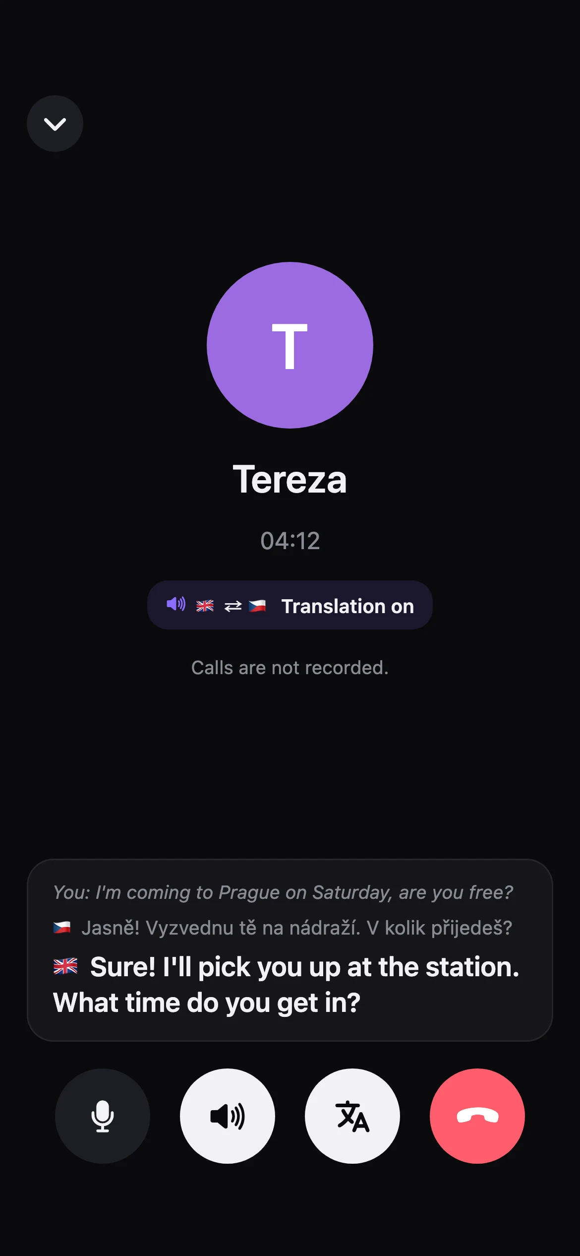 Translated call screen: Tereza speaks Czech, the translation arrives as English captions and voice