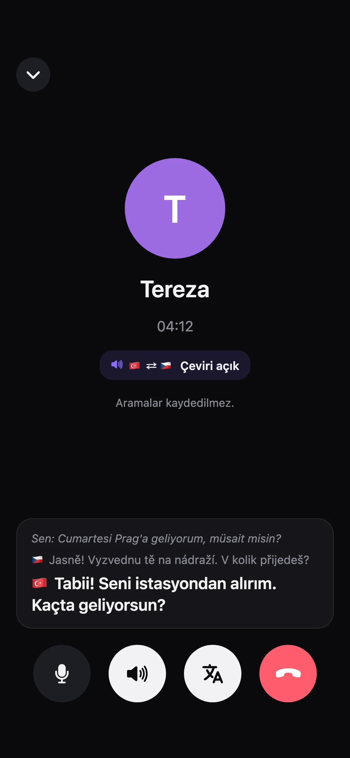 Çevirili arama ekranı: Tereza Çekçe konuşuyor, çeviri Türkçe altyazı ve sesle geliyor